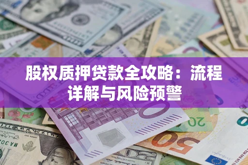 济南股权质押贷款全攻略：流程详解与风险预警