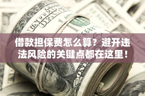 济南借款担保费怎么算？避开违法风险的关键点都在这里！