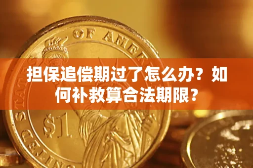 济南担保追偿期过了怎么办？如何补救算合法期限？
