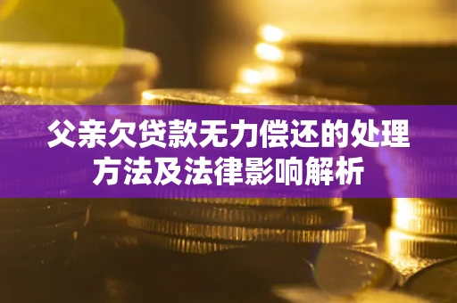 济南父亲欠贷款无力偿还的处理方法及法律影响解析